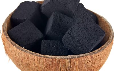 7 Reasons Why Smokers Love To Use Hookah Charcoal Coconut For Smoking Hookah