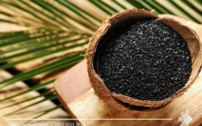 Charcoal Product for Diverse Industrial and Commercial Applications