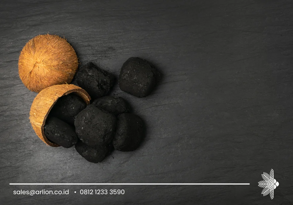 charcoal briquettes for odor